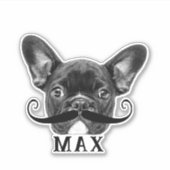Funny Upload Pet Face Foto & Name met Mustache Sticker (Voorkant)