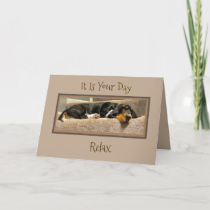 Funny "Vaderdag" Card W/Basset Hound Puppy Kaart