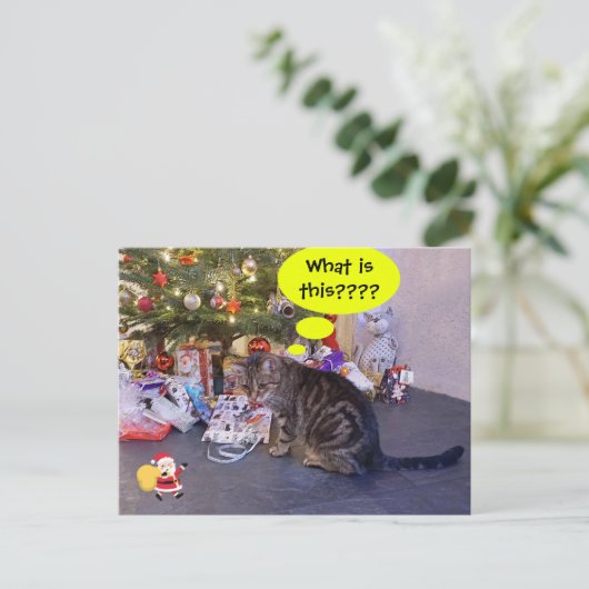 Funny-vakantiekaart met kitten en Santa Claus Briefkaart (Staand voorkant)