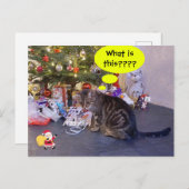 Funny-vakantiekaart met kitten en Santa Claus Briefkaart (Voorkant / Achterkant)