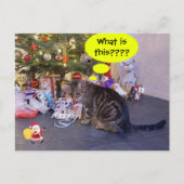 Funny-vakantiekaart met kitten en Santa Claus Briefkaart (Voorkant)