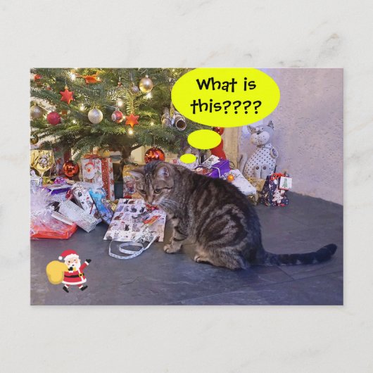 Funny-vakantiekaart met kitten en Santa Claus Briefkaart (Voorkant)