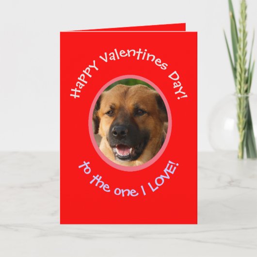 Funny Valentijn van Dog naar Owner Photo Card Kaart (Voorkant)