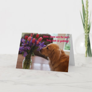 Funny Valentijns kaart, honingbloemen Kaart