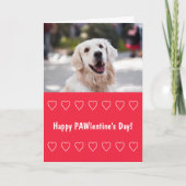 Funny Valentijnsdag card van hond Kaart (Voorkant)