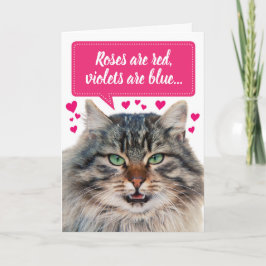 Funny Valentijnsdag Maine Coon Cat  Kaart
