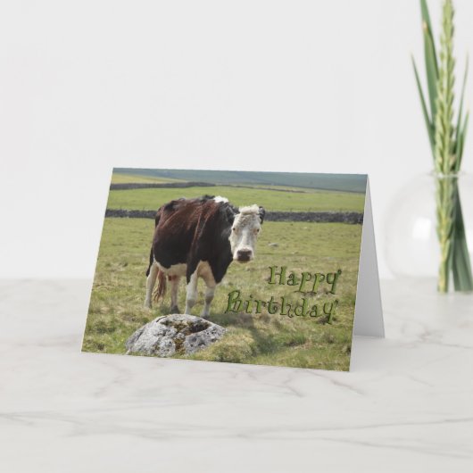 Funny verjaardagskaart kaart (Voorkant)