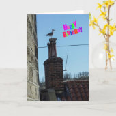 Funny verjaardagskaart kaart (Gele Bloem)