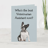 Funny Veterinarian Asst Thank You  Boston Terrier Kaart (Voorkant)