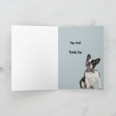 Funny Veterinarian Thank You Wishes Boston Terrier Kaart (Binnen)