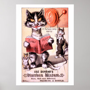 Funny Victoriaans Era Cat Ad Poster