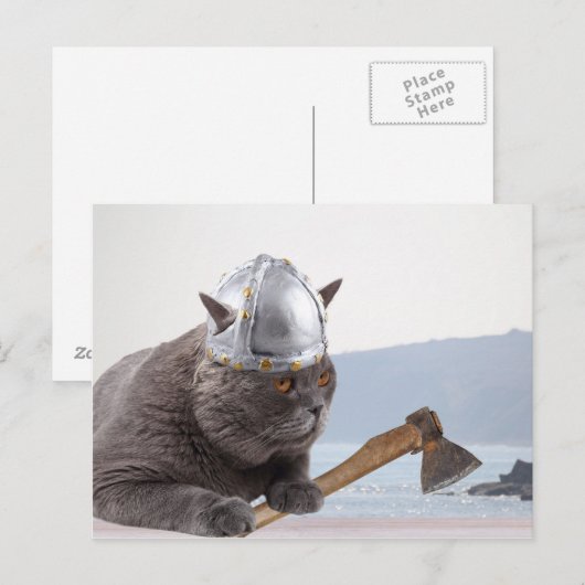 Funny viking cat briefkaart (Voorkant / Achterkant)