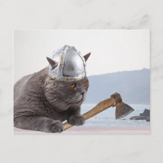 Funny viking cat briefkaart