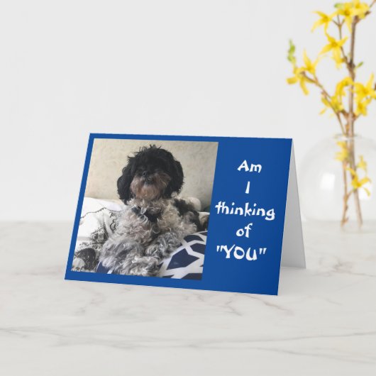 ***FUNNY VOELT ZO SNEL BETER** KAART (Gele Bloem)