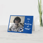 ***FUNNY VOELT ZO SNEL BETER** KAART (Voorkant)