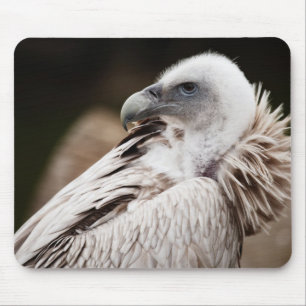 Funny Vulture Bird Mousepad Muismat