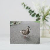 Funny Waddling Duck Briefkaart (Staand voorkant)