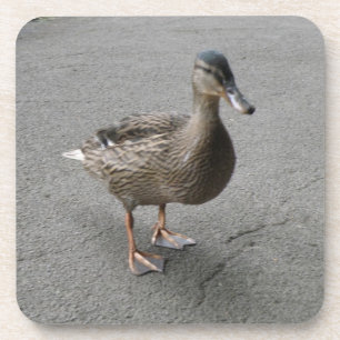 Funny Waddling Duck Cork Onderzetter