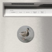 Funny Waddling Duck Magnet (Insitu (Vaatwasser))