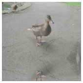 Funny Waddling Duck Patterned Animal Fabric Stof (Close Up)