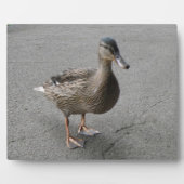 Funny Waddling Duck Plaque Fotoplaat (Voorkant)