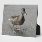 Funny Waddling Duck Plaque Fotoplaat (Zijkant)