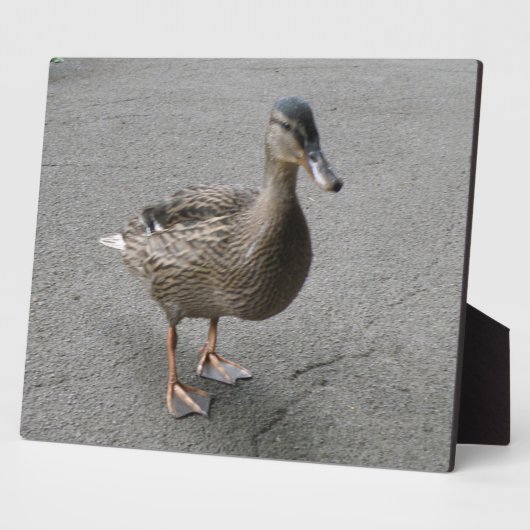 Funny Waddling Duck Plaque Fotoplaat (Zijkant)