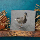 Funny Waddling Duck Plaque Fotoplaat (Zijkant)
