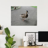 Funny Waddling Duck Print (Thuiskantoor)