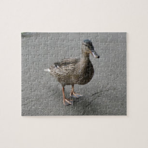 Funny Waddling Duck Puzzle Legpuzzel