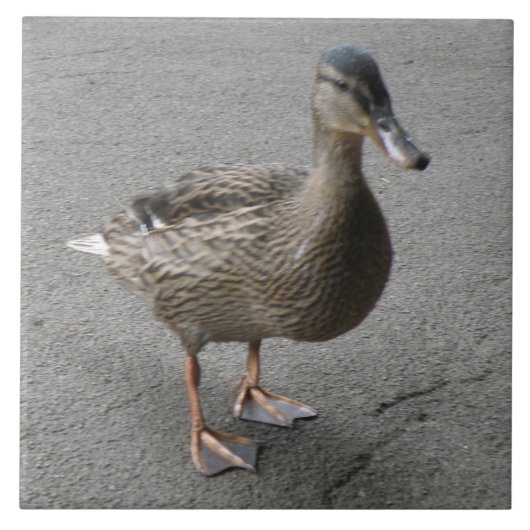 Funny Waddling Duck Tile Tegeltje (Voorkant)