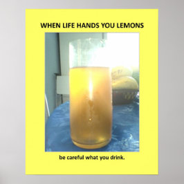 Funny Warning Veiled Bathroom Humor Poster