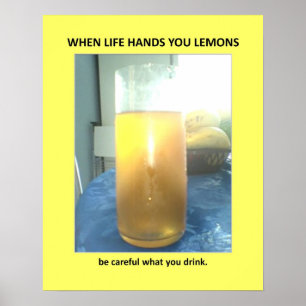 Funny Warning Veiled Bathroom Humor Poster