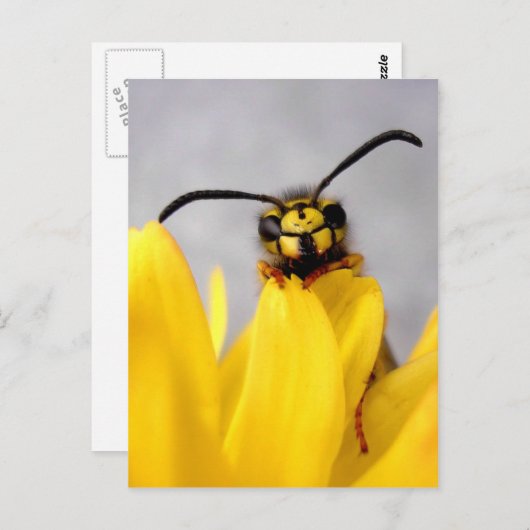 Funny Wasp Briefkaart (Voorkant / Achterkant)