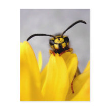 Funny Wasp Briefkaart