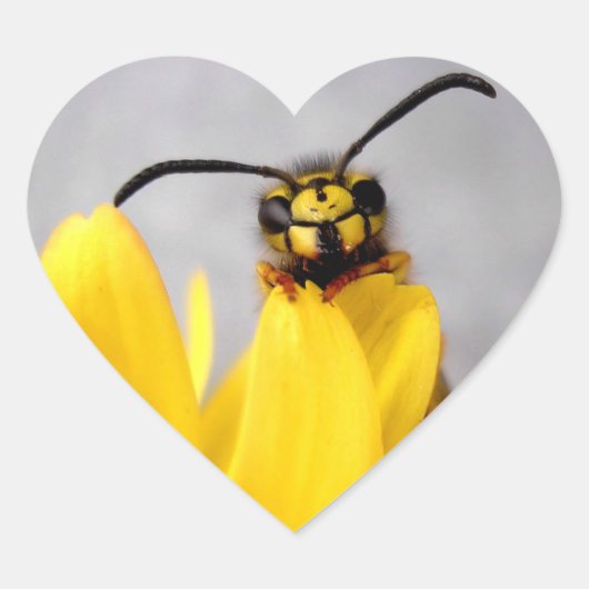 Funny Wasp Sticker (Voorkant)
