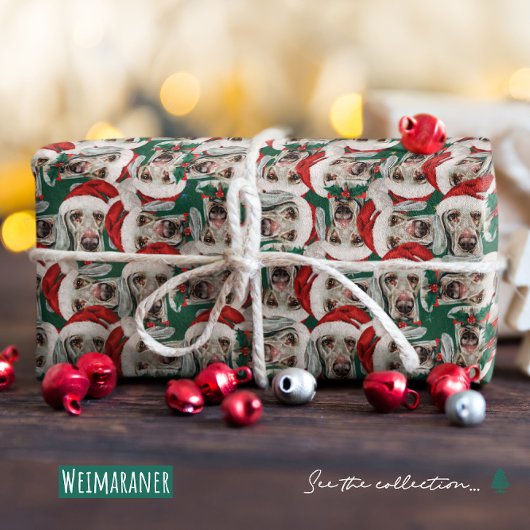 Funny Weimaraner-kerstpatroon Cadeaupapier