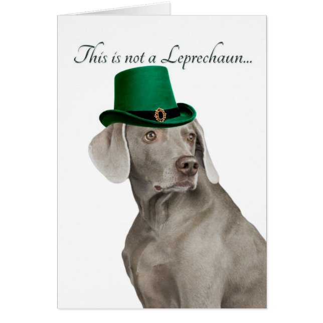 Funny Weimaraner Leprechaun Card (Voorkant)
