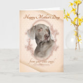 Funny Weimaraner-Moederdag Kaart (Gele Bloem)