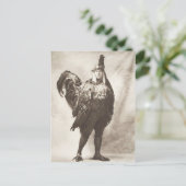 Funny Weird  Foto van Chicken Costume Briefkaart (Staand voorkant)