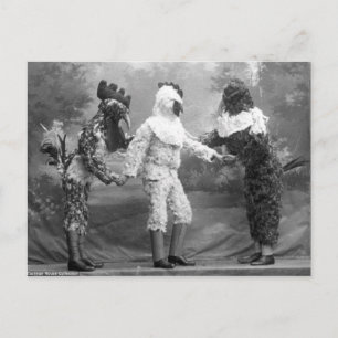 Funny Weird Foto van Chicken Costumes Briefkaart