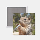 Funny Weird Puffy the Squirrel Cigarette Smoker Magneet (Voorkant / Achterkant)