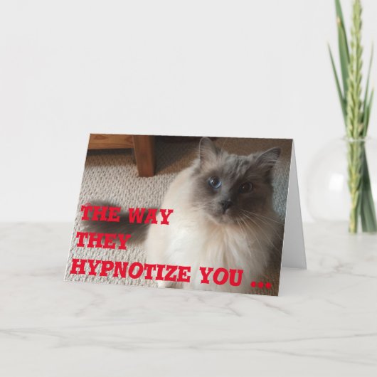 Funny Wenskaart Kaart (Voorkant)