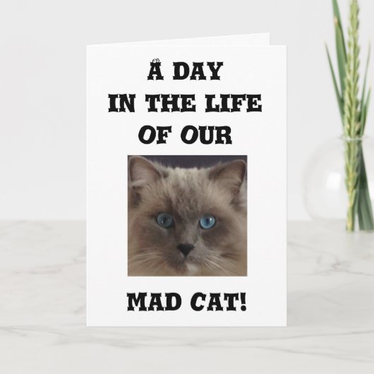 Funny Wenskaart Kaart (Voorkant)