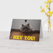 Funny Wenskaart Kaart (Gele Bloem)