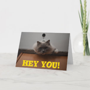 Funny Wenskaart Kaart