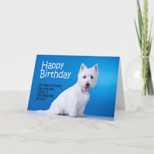 Funny Westie Birthday Card Kaart