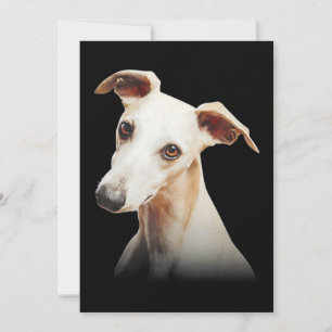 Funny Whippet Face Whippet Smile Whippet Only Face Feestdagenkaart