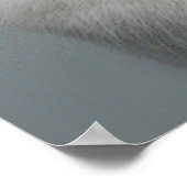 Funny White Cat Humor Pet-lover Poster (Hoek)