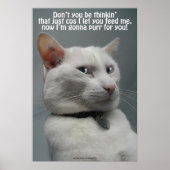 Funny White Cat Humor Pet-lover Poster (Voorkant)